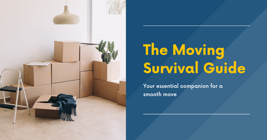 Moving Survival Guide: How to Make Your New Place Feel Like Home