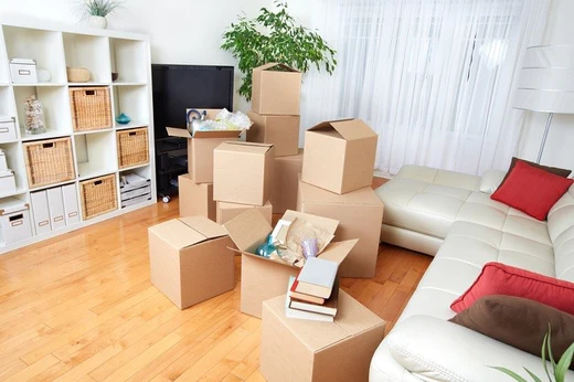 Packing Abacus – Estimate how many boxes you require – Packing Solution