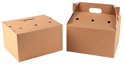 Is It Best To Use Cardboard Boxes With Handle Holes?