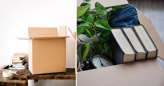 The Ultimate Guide to Packing Books for Your Move- Cardboard Boxes and Beyond