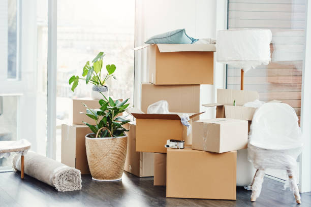 Ultimate Guide to Small House Moving Boxes