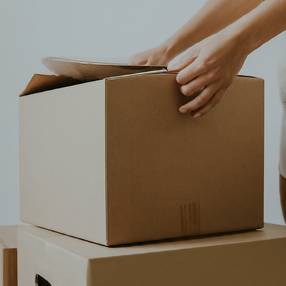 PS15.8 - Budget Moving Pack